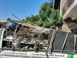 Best Recycling Services for Junk  in Pagould, AR